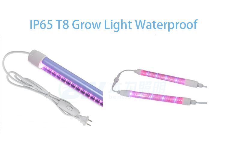 17 (1) 17 (1)