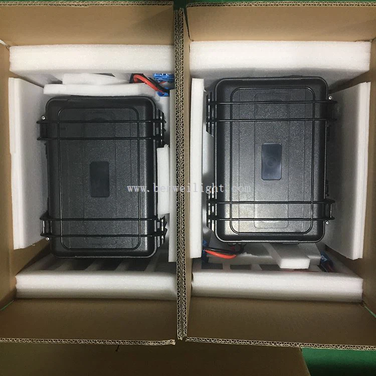 lithium ion battery cell