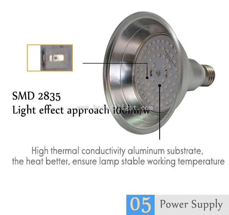 par30 long neck led