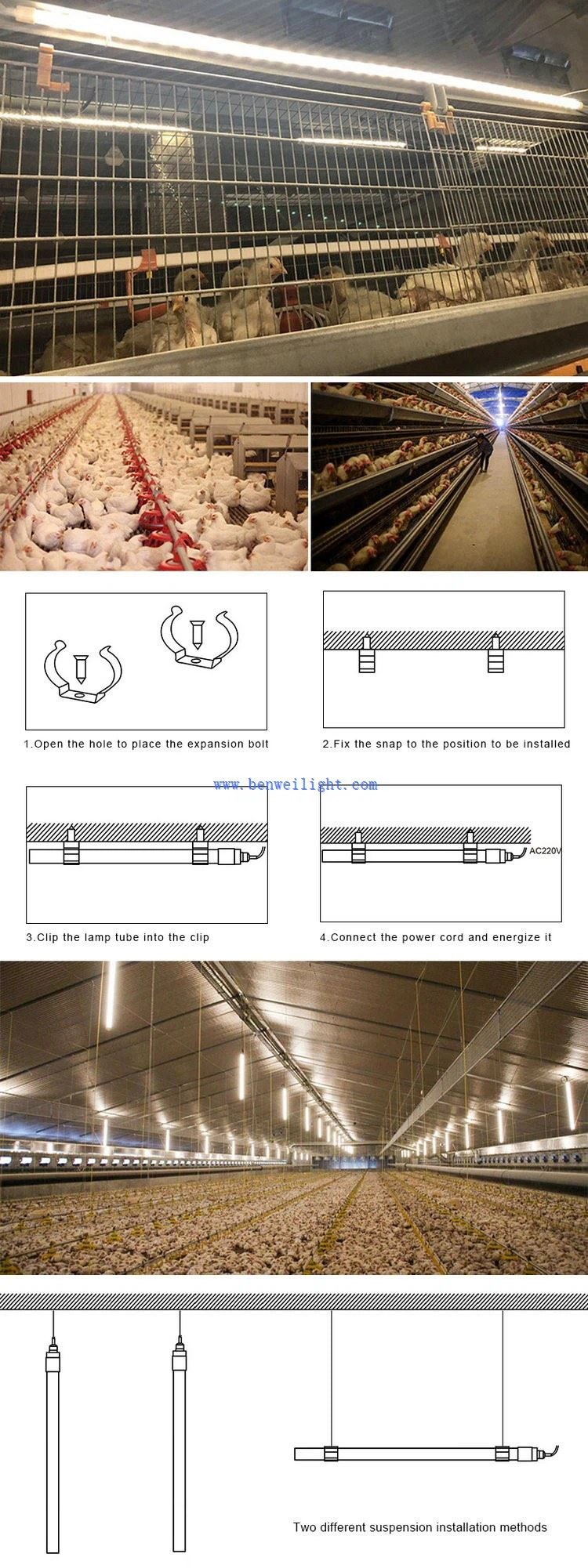 product-750-2001 poultry lighting