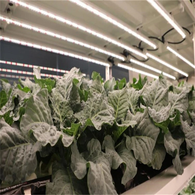 grow led tube installation 2