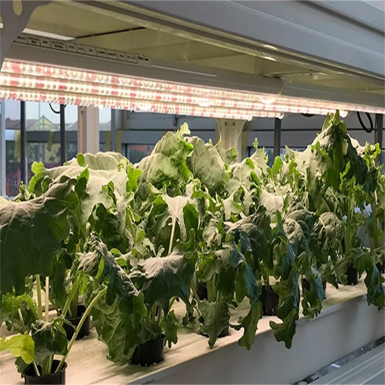 grow led tube installation 6