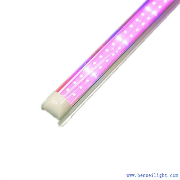 Işık Deposunu Büyüt