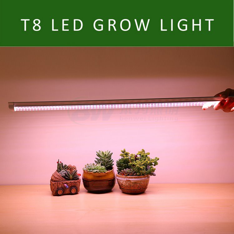 T8 LED Grow Işık Tüpü