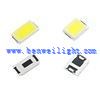 Cob Led Grow Işık