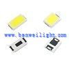 Cob Led Grow Işık