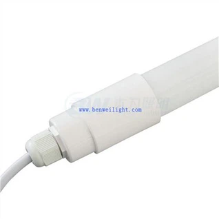 Sağılan İneklerin Daha Fazla Süt Sağması İçin Aydınlatma