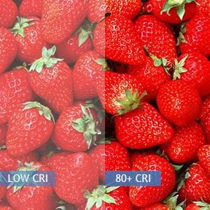 2 X 4 Foot LED Flat Panel Light