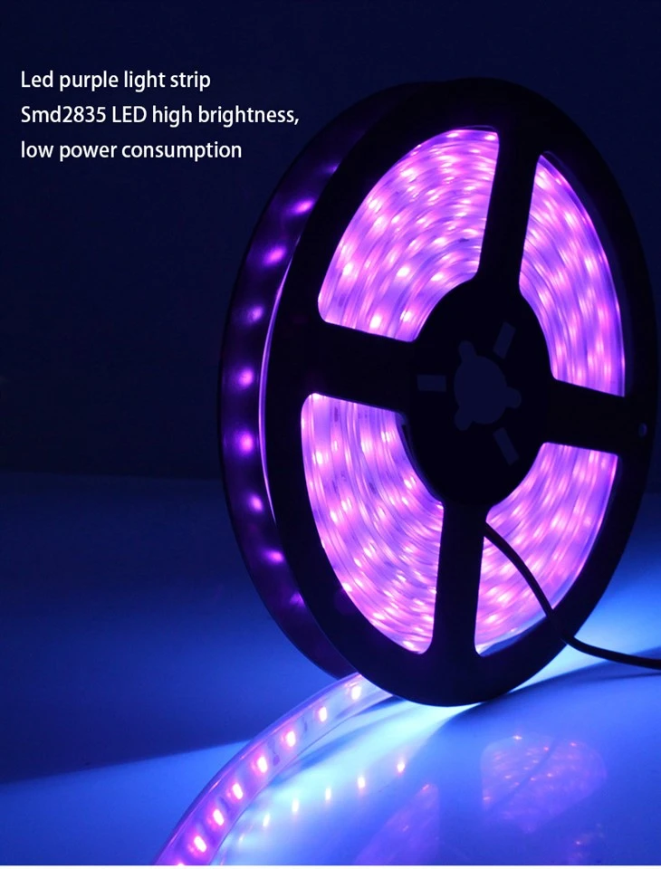 24V UV LED Şerit Esnek