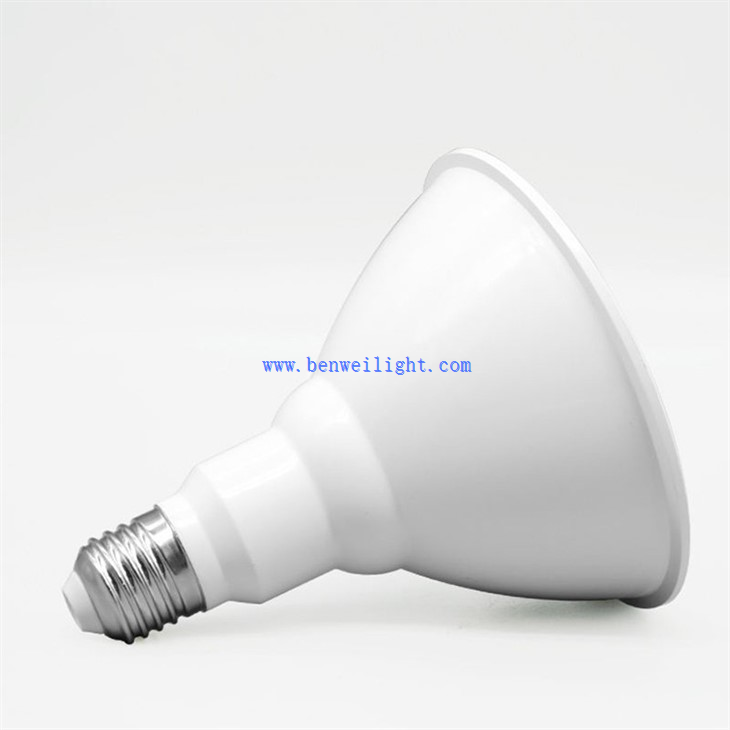 75w par30 bulb (17)