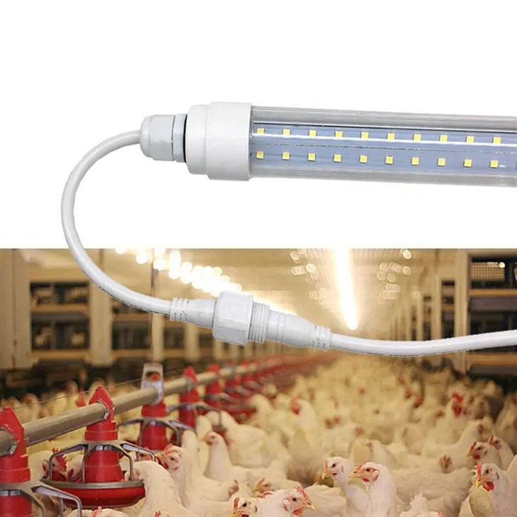 Tavuk Çiftliği İçin Dimmer Kümes Hayvanları LED Işık