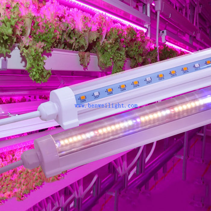 plantas de luz para casa
