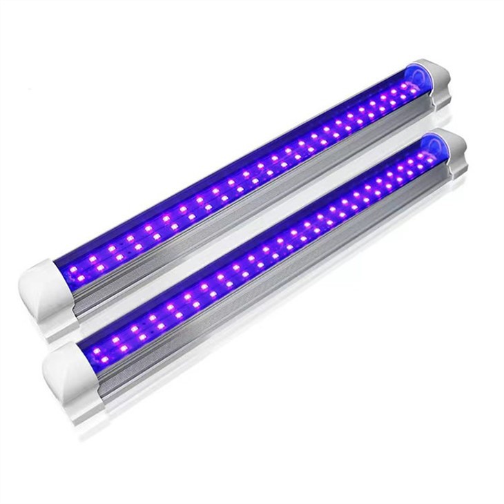 Light That Kills Mosquitoes