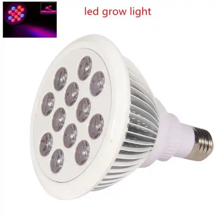 PAR38 36W Ampul LED Büyüme Işıkları