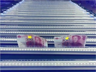 Siyah Işık Tüpleri T8 32w