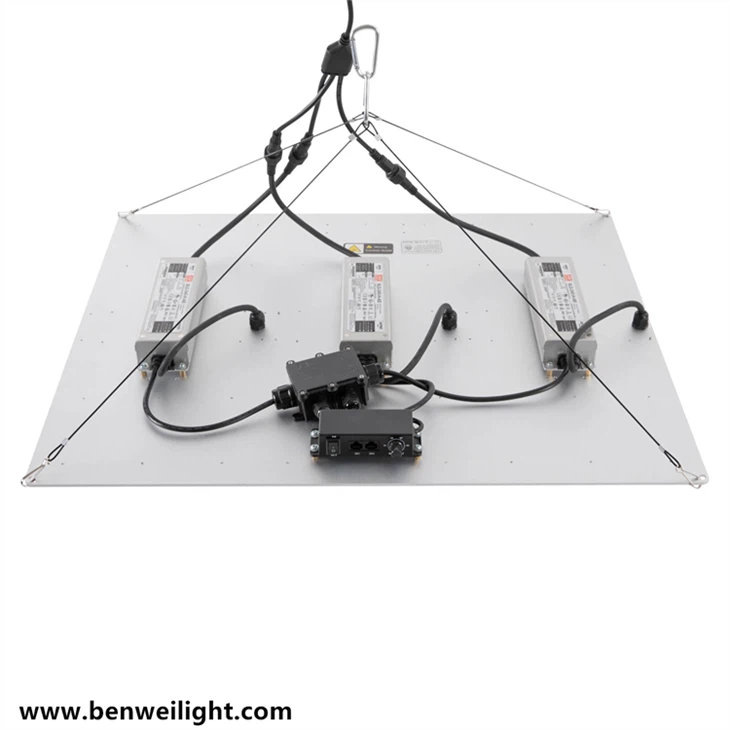 High Power Commercial Horticulture 1000 Watt LED Grow Light suppliers
