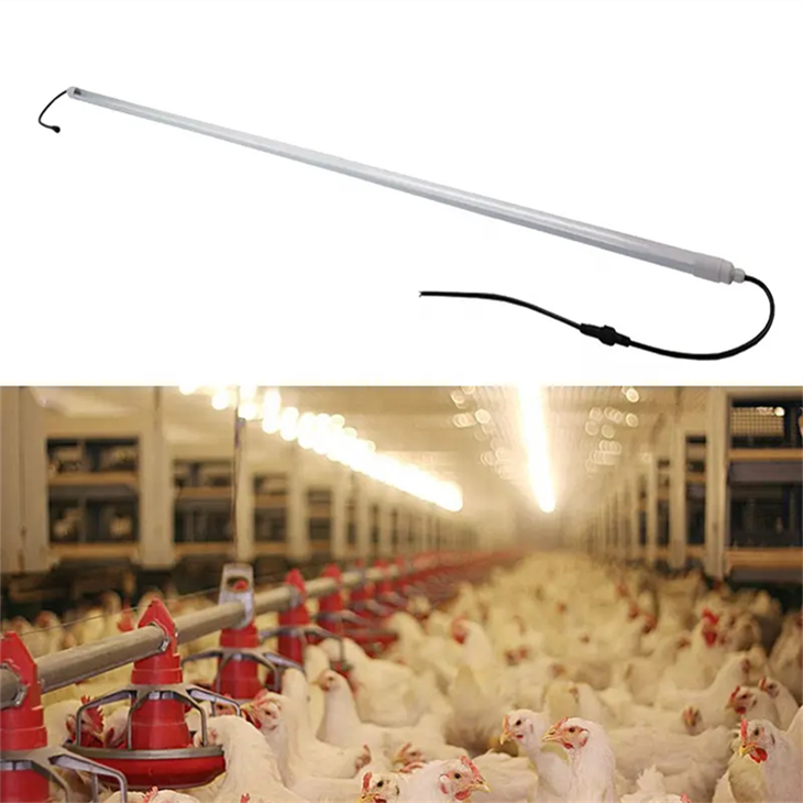 IP65 IP67 Su Geçirmez T5 T8 Led Kısılabilir Tüp Tam Spektrumlu Kümes Hayvanları Aydınlatma