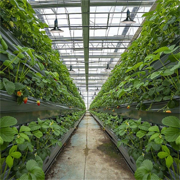 full spectrum grow lights
