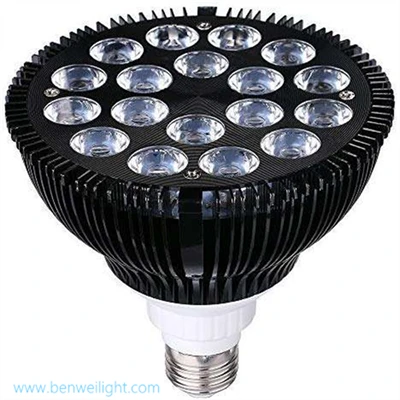 Medical Red Light Therapy Bulb: 810-850nm high quality