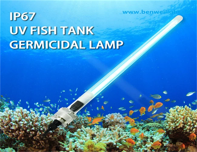 product-650-500