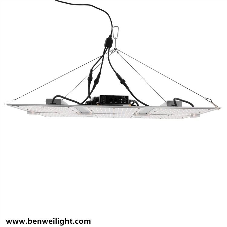 product-750-750