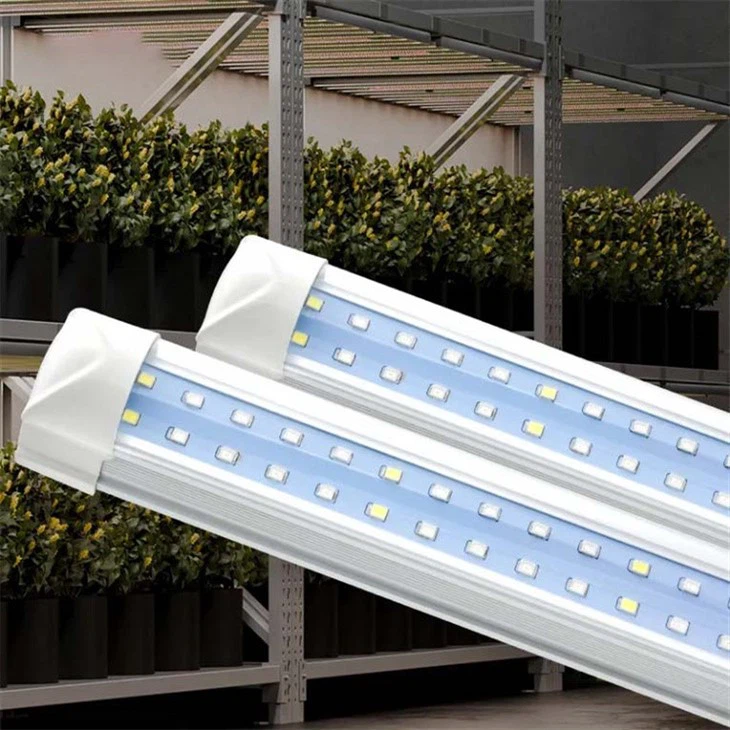 plant grow light
